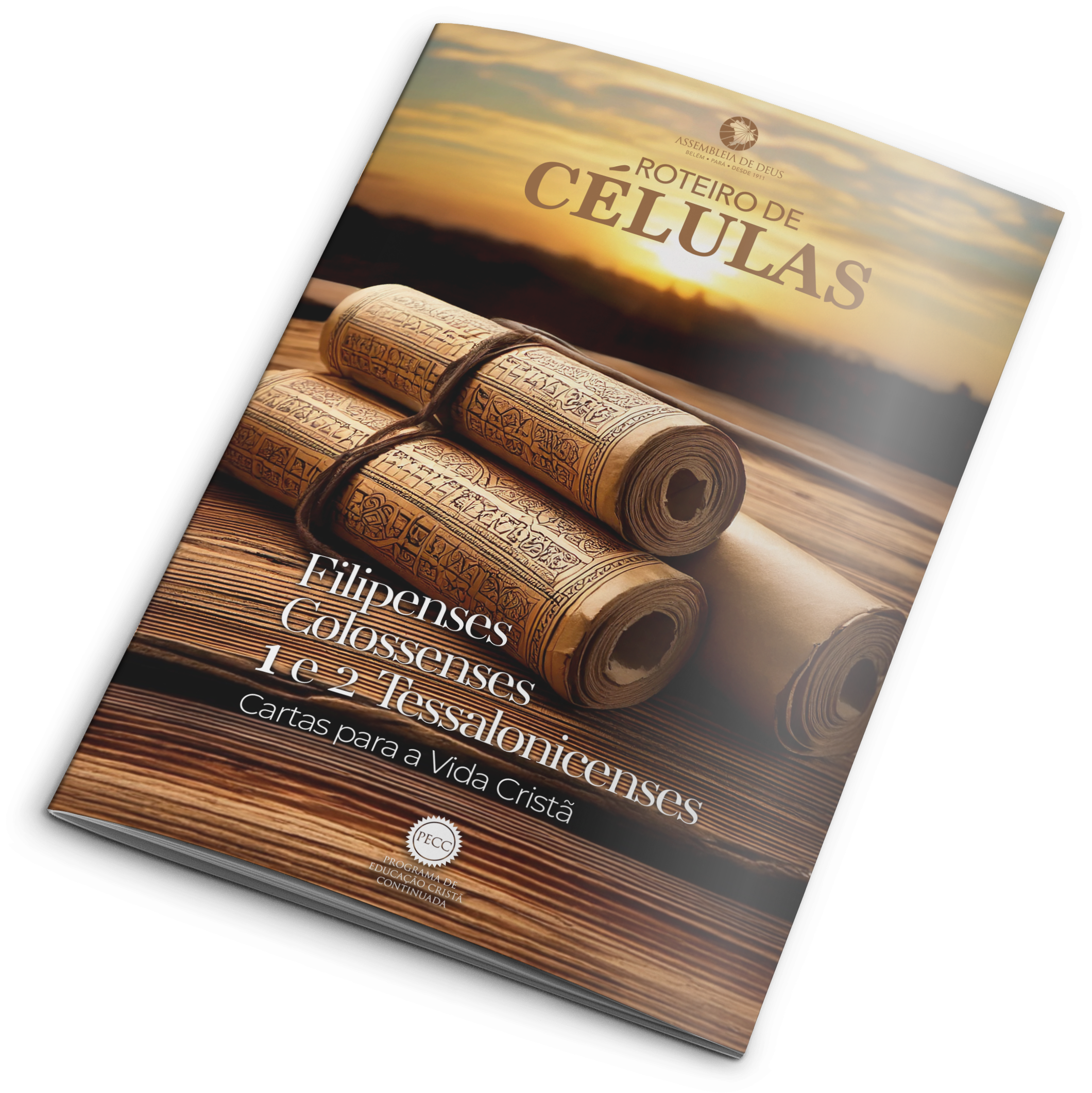 Roteiro de Células